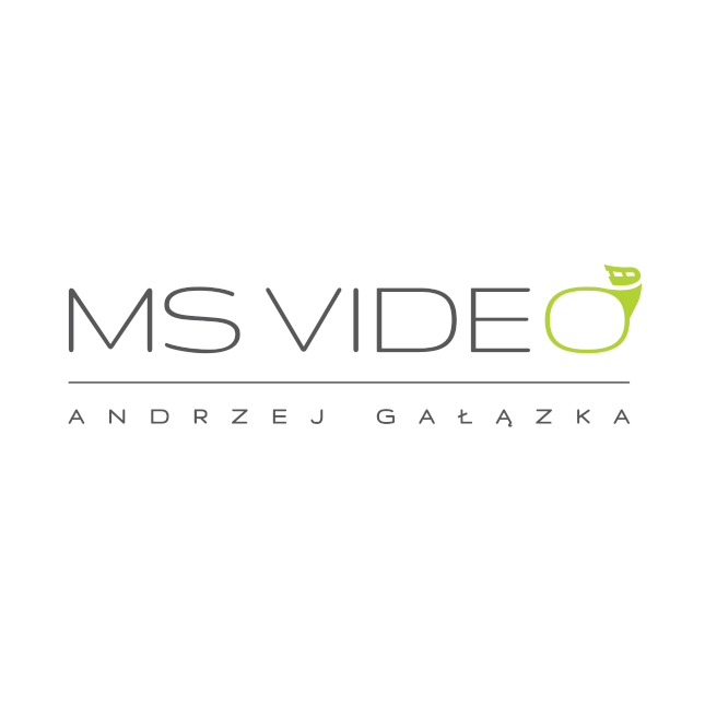 Logo firmy Ms video